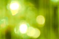 Natural forest bokeh Royalty Free Stock Photo