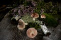Natural forest details on a wooden rough background - moss, russula mushrooms and heather. Royalty Free Stock Photo