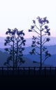 Natural forest mountains horizon hills silhouettes of trees. Evening Sunrise and sunset. Landscape wallpaper. Illustration.