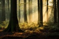 Natural forest of spruce trees, sunbeams through fog create mystic atmosphere. Generative AI Royalty Free Stock Photo