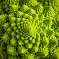 Natural Fractal Pattern of Romanesco Broccoli Royalty Free Stock Photo