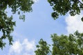 Natural frame, background of blue sky and green leaves, spring, summer. Place for text Royalty Free Stock Photo