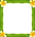 Natural Frame Made Bamboo and Frangipani Flowers, Copy Space for Your Text