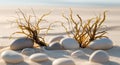 Natural frame of seaweed shells and pebbles on sand. Royalty Free Stock Photo