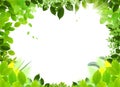 Natural frame and template Royalty Free Stock Photo