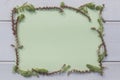 Natural frame on white wooden background made of moss and succulents. Light-green paper is inside the frame