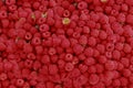 Raspberry fruits photographed closely occupying the whole image