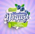 Natural and fresh blueberry Yogurt label splash.