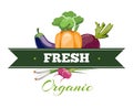 Natural fresh food, vegetables logo badge vector template