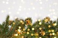 Natural fresh green pine christmas tree branches with bokeh lights background Royalty Free Stock Photo