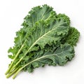 Natural and Fresh Kale isolated on white background Royalty Free Stock Photo