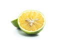 Natural fresh lime sliced isolated on white background Royalty Free Stock Photo