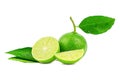 Natural fresh lime with water drops and slice Royalty Free Stock Photo