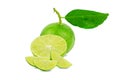 Natural fresh lime with water drops and slice of green lime citrus fruit stand isolated Royalty Free Stock Photo