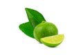 Natural fresh lime with water drops and slice of green lime citrus fruit stand isolated Royalty Free Stock Photo