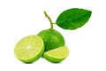 Natural fresh lime with water drops and slice Royalty Free Stock Photo