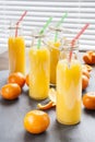 Natural and fresh orange juice in small bottles with fresh tangerine (mandarin) Royalty Free Stock Photo