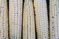 Natural and fresh organic milk corns from the garden