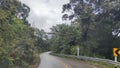 On a natural fresh road surround by green trees