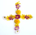 natural fresh yellow flowers addition plus cross math sign + freshly picked in spring