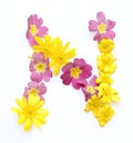 natural fresh yellow and pink flowers blossoms letter N freshly picked in march Royalty Free Stock Photo