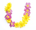 natural fresh yellow pink flowers U freshly picked in spring