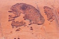 Natural frog rock carvings on Uluru Ayers Rock, Australia Royalty Free Stock Photo