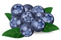 Natural garden blueberries