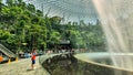 Natural Garden Inside Of Jewel Changi Airport, Singapore.