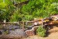 Natural garden with native plants, natural stones, driftwood, sand and hedge Royalty Free Stock Photo