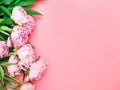 Natural garden pink peonies on a pink background, top view, copy space, flat lay. Monochrome flower arrangement for a greeting