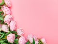 Natural garden pink peonies on a pink background, top view, copy space, flat lay. Monochrome flower arrangement for a greeting