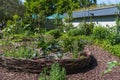 Natural garden with willow fence as border for beds