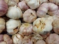 Natural Garlic in Asia shop
