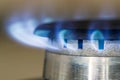 Natural gas blue flames burns on the kitchen stove hob, close up