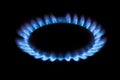 Natural gas burning a blue flames on black background, propane is burning on the gas cooker.