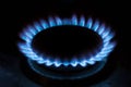 Natural gas burning a blue flames on black background, propane is burning on the gas cooker. Royalty Free Stock Photo