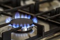 Natural gas burning on kitchen gas stove in the dark. Panel from steel with a gas ring burner on a black background, close-up shoo Royalty Free Stock Photo