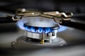 Natural gas burning on kitchen gas stove Royalty Free Stock Photo