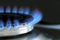 Natural gas burning on kitchen gas stove Royalty Free Stock Photo