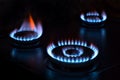 Natural gas burning on the stove. Blue flame. Three burners. Royalty Free Stock Photo