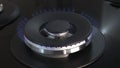 Natural gas burns on the stove with a blue flame. Kitchen gas stove, gas ignition. The concept of gasification.