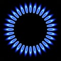 Natural gas flame. gas stove burner.