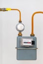Natural gas meter for measuring resourse consumption