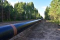 Natural gas pipeline construction work in forest area. Installation of  gas and crude oil pipes in ground. Pipe on top of wooden Royalty Free Stock Photo