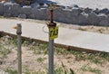 Natural gas pipeline outlet from the ground with a sign gas in cyrillic alphabet. Metal natural gas pipe outlet, post near the