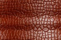 natural genuine cow animal leather skin texture with seamless pattern on brown background