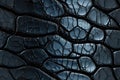 natural genuine crocodile leather skin texture with seamless pattern on black background