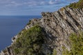 A natural glimpse on the island of Gorgona, Livorno, Italy