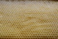 a natural golden honeycomb texture